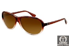 Rayban RB4153 | 821/M2 