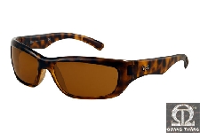 Rayban RB4160 | 710 