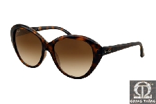 Rayban RB4163 | 710/51 