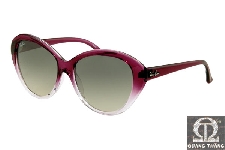 Rayban RB4163 | 839/32 