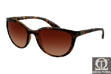 Rayban RB4167 - 710/13