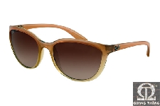 Rayban RB4167 - 851/13