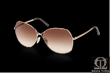 Dolce & Gabbana DG2093 Gold/Brown