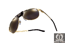 Cartier T8200630 SANTOS DE CARTIER RIMMED SUNGLASSES