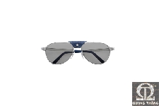 Cartier T8200804 SANTOS DE CARTIER RIMMED SUNGLASSES