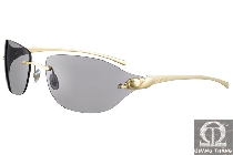 Cartier sunglasses T8200696