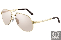 Cartier sunglasses T8200746