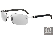 Cartier sunglasses T8200758