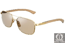 Cartier sunglasses T8200782