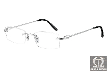 Cartier T8100686