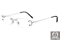 Cartier T8100748